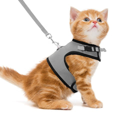 PUPTECK arnés chaleco malla suave para gato, cómodo para paseos diarios.