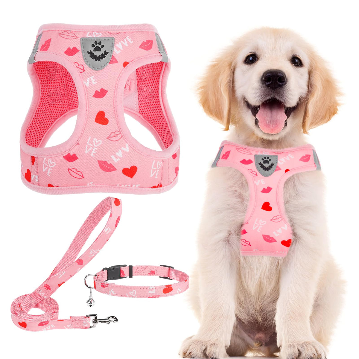 PUPTECK arnés, collar y correa ajustables, conjunto completo para paseos seguros y cómodos.