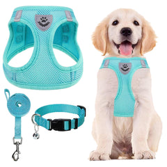 PUPTECK arnés y collar ajustables, vista frontal, facilita colocación rápida para paseos.