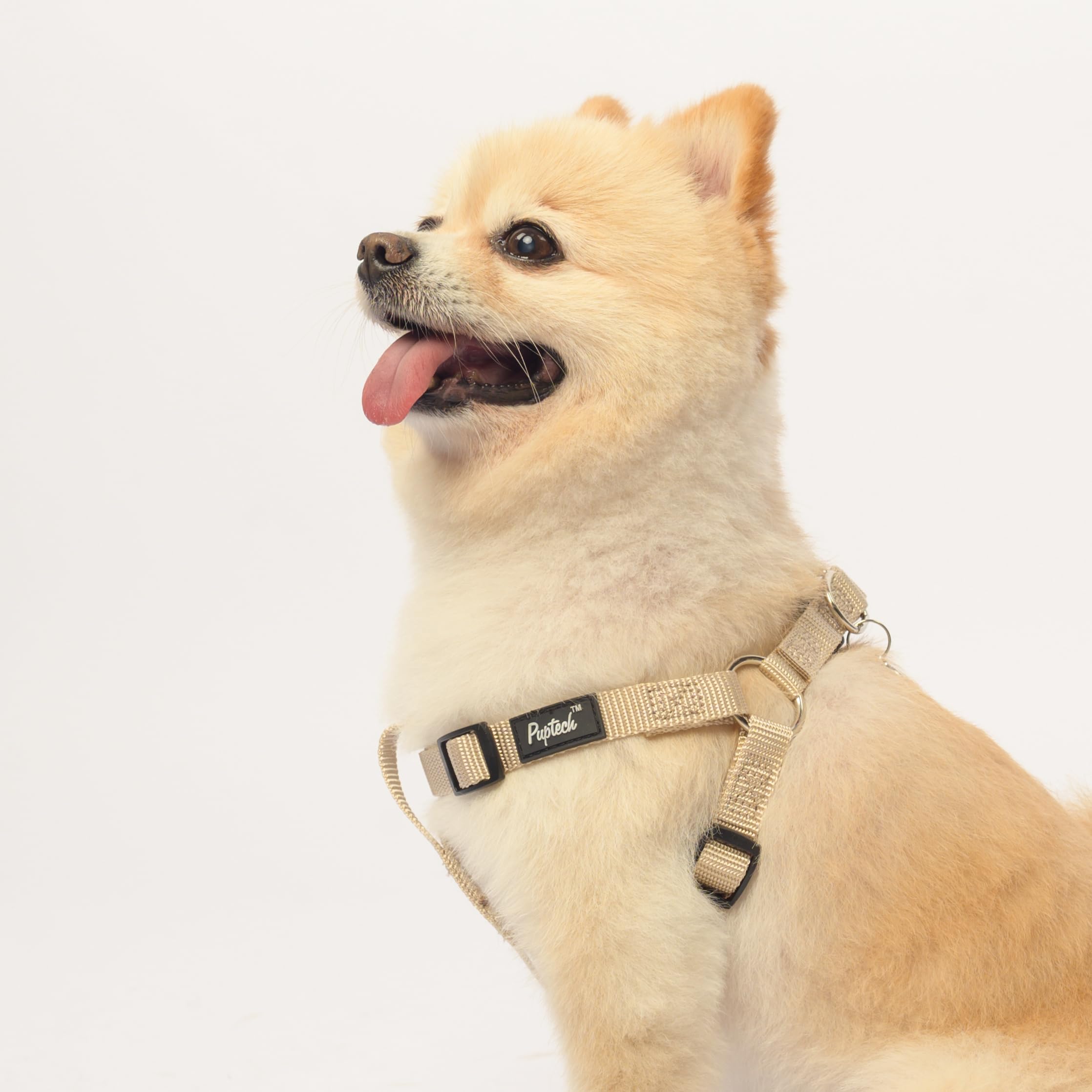 PUPTECK arnés crema para perros, ideal para caminatas diarias.