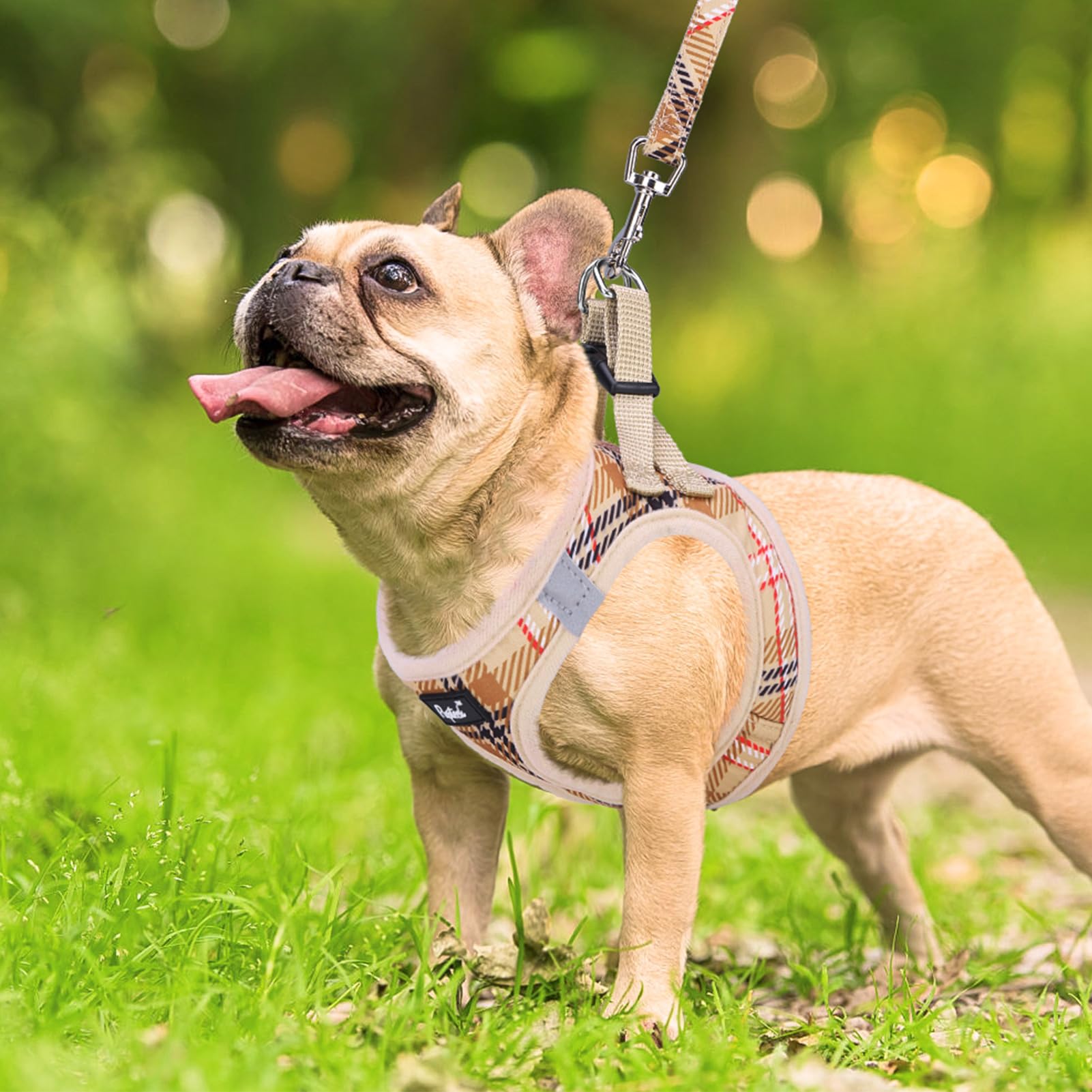 PUPTECK patrón de cuadros beige con estilo y comodidad.