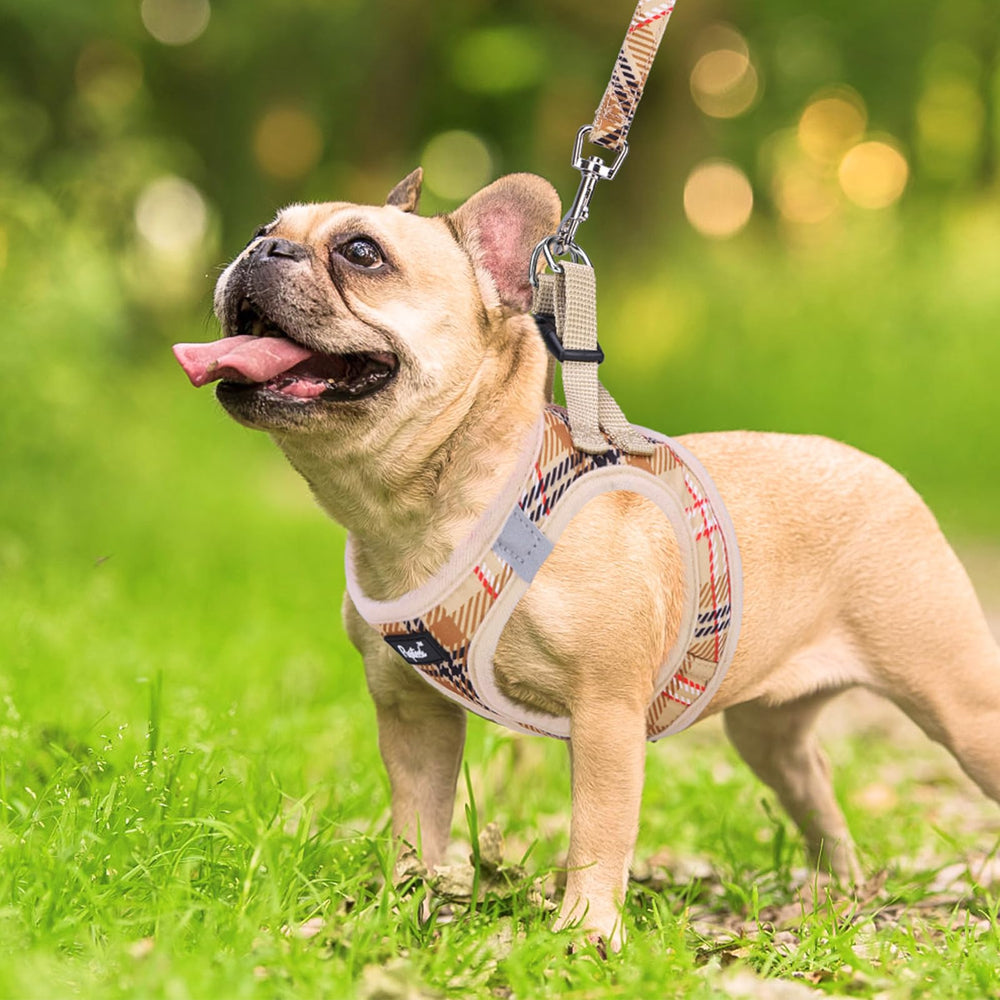 PUPTECK patrón de cuadros beige con estilo y comodidad.