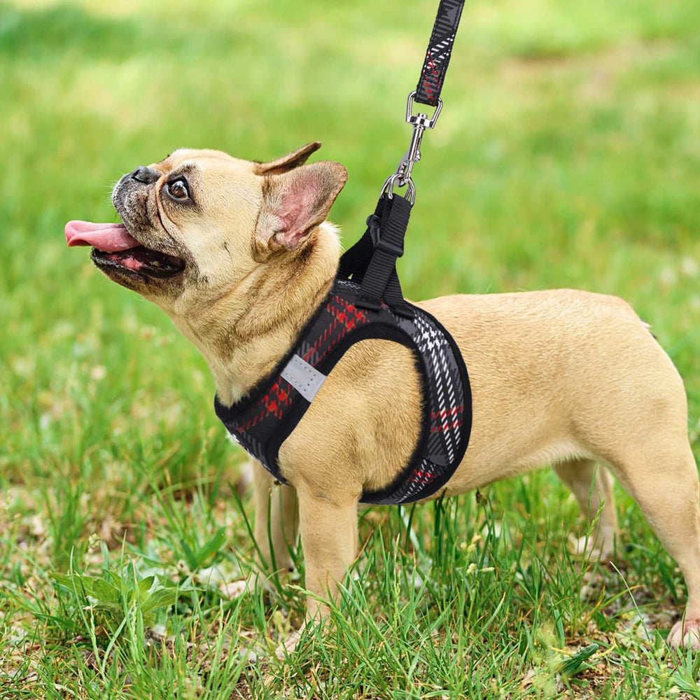 Diseño a cuadros de PUPTECK para estilo y confort.