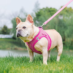 PUPTECK arnés denim rosado espalda: diseño de paso facilita ponérselo.