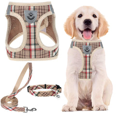 PUPTECK arnés de entrada ajustable para perros, cómodo y fácil de colocar.