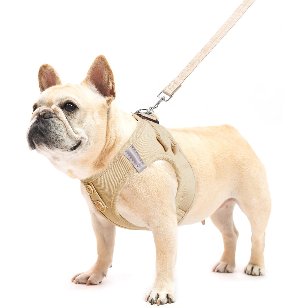 PUPTECK arnés-entrada-paso: ponérselo es sencillo, incluso para perros activos.