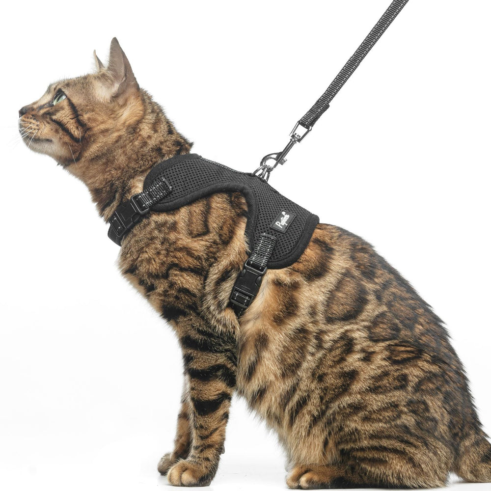 Pupteck arnés gato a prueba de escape y reflectante para paseos nocturnos