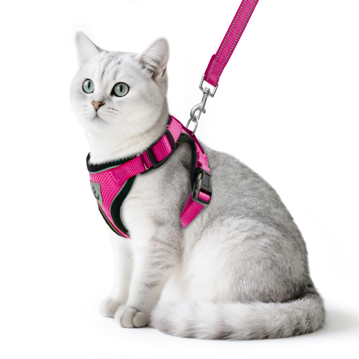 PUPTECK arnés para gato: malla suave y ajuste cómodo para paseos seguros.