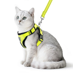 PUPTECK arnés-gato-ajustable-reflectante para paseos seguros y cómodos.
