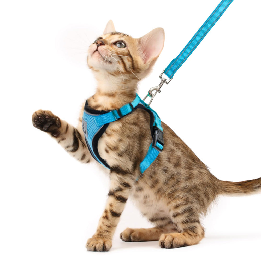 PUPTECK arnés gato con ajuste de 4 puntos para mayor comodidad.