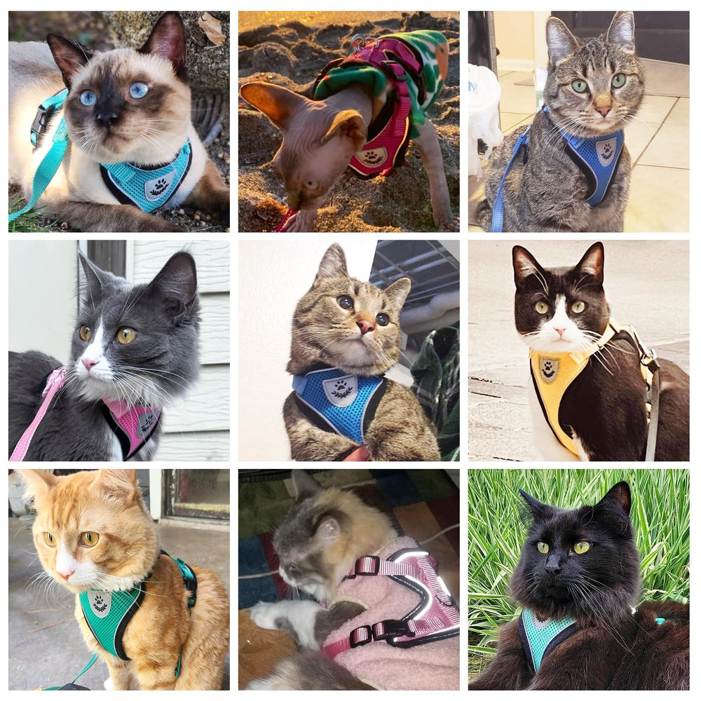 Ajuste escalable para crecimiento del gato entre XS y L.