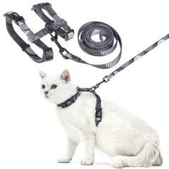 PUPTECK arnés ajustable para gato, paseo cómodo y seguro.