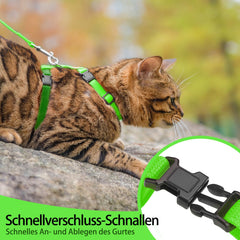 PUPTECK arnés gato: dos hebillas para vestir fácil y seguro.