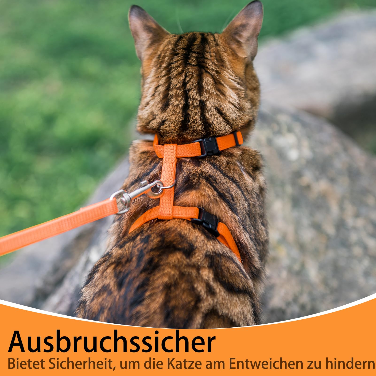 Arnés PUPTECK a prueba de escapes para gatos curiosos.