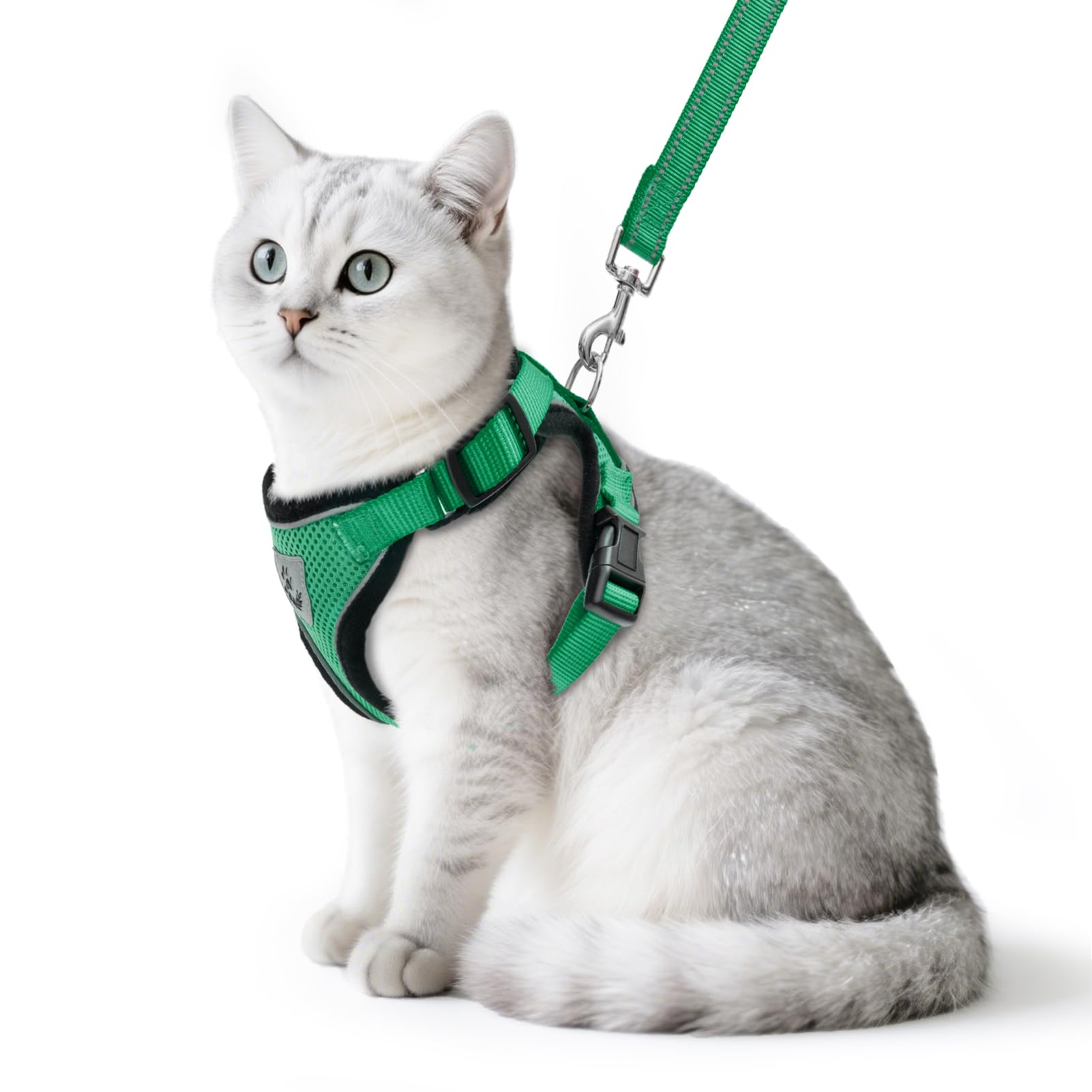 Arnés PUPTECK para gatos en verde oscuro, cómodo y seguro para paseos.