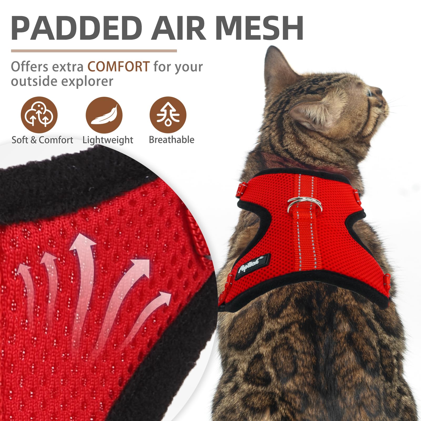 Arnés PUPTECK para gato con hebillas rápidas para colocar con facilidad