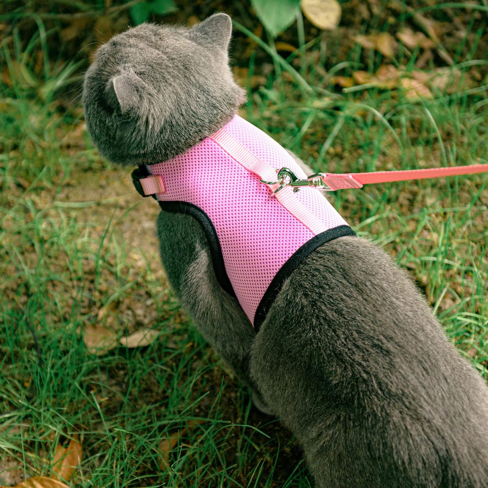 PUPTECK arnés a prueba de escapes, paseo más seguro para tu gato.
