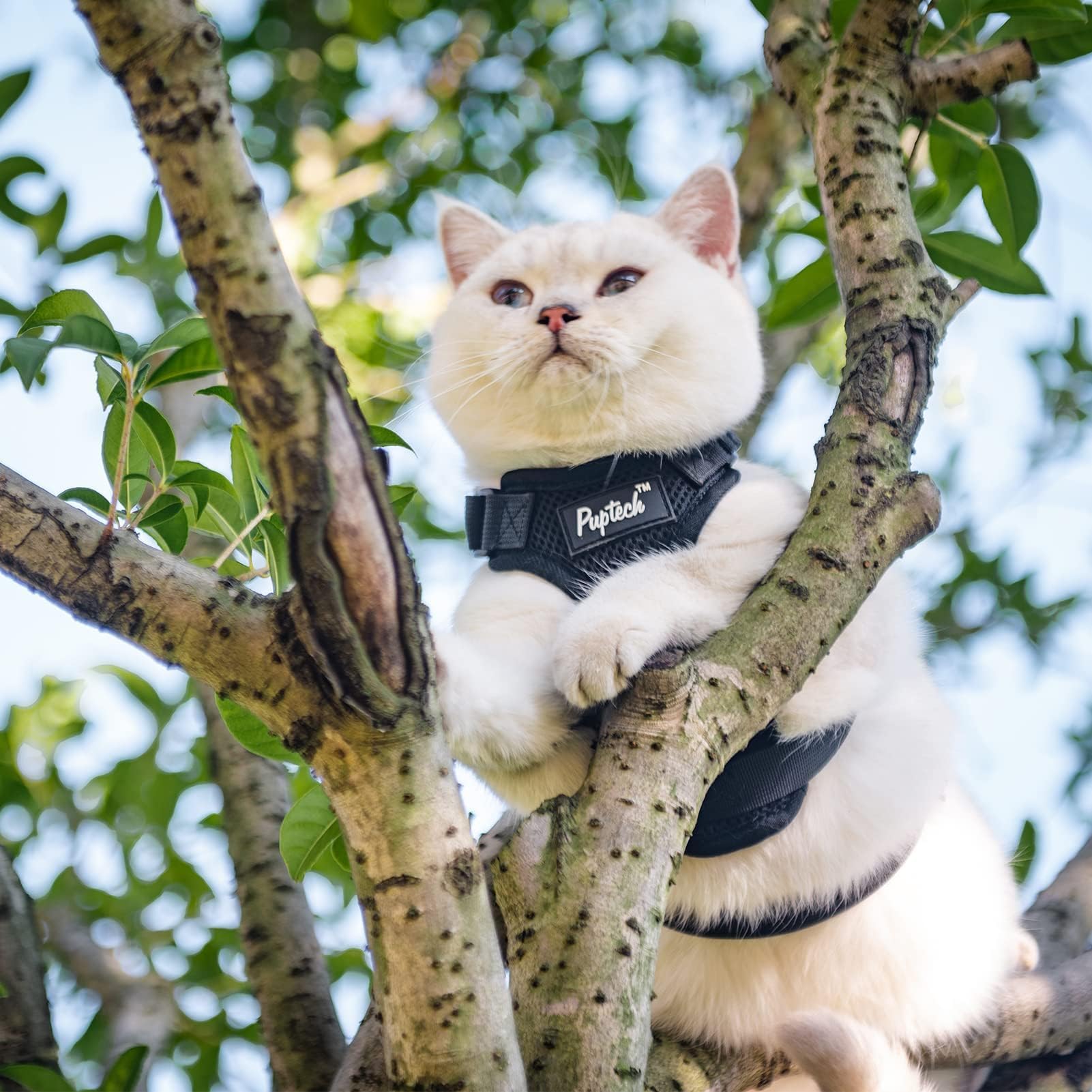 PUPTECK arnés gato ligero y suave para comodidad