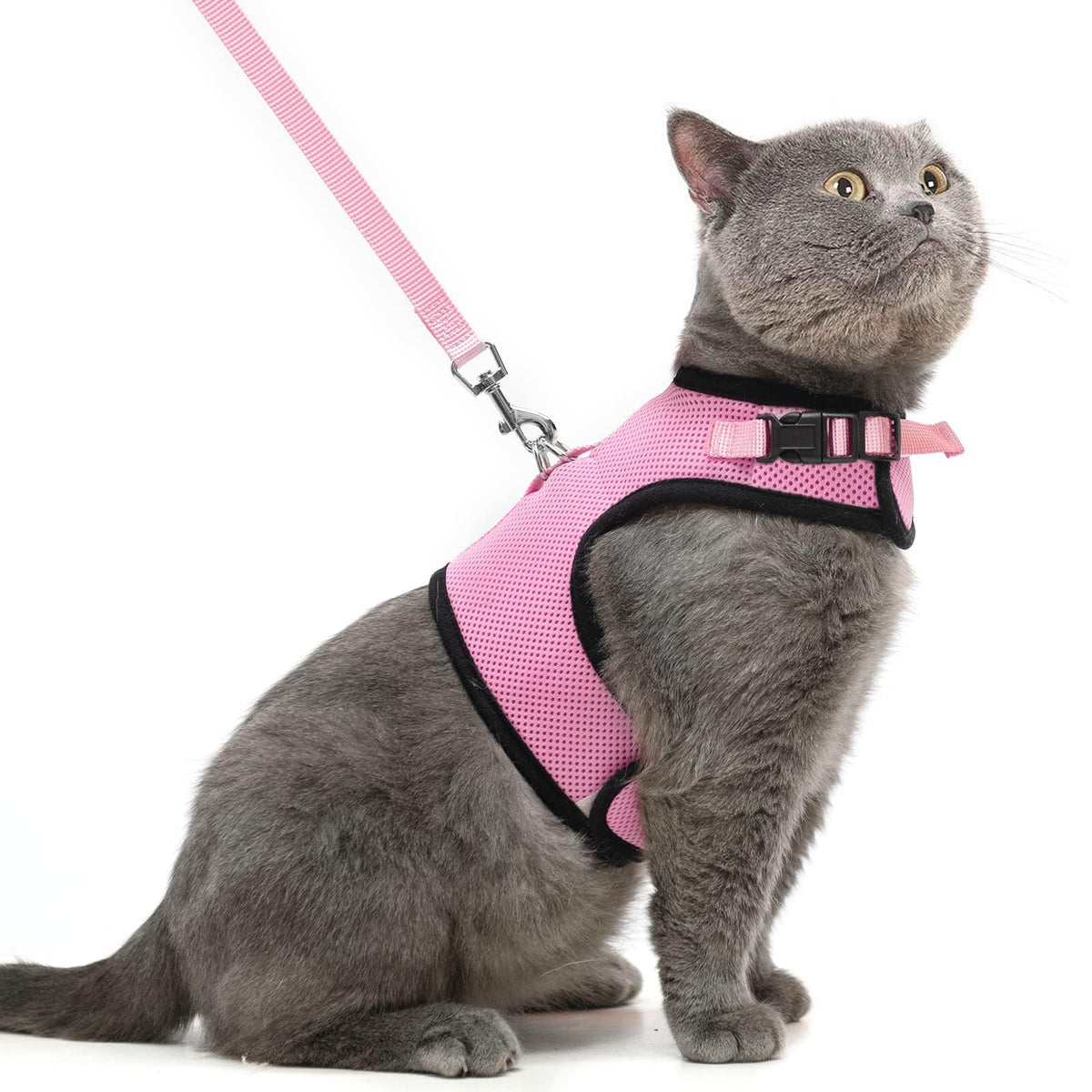 PUPTECK arnés de gato en malla suave rosa, vista frontal para paseos cómodos.