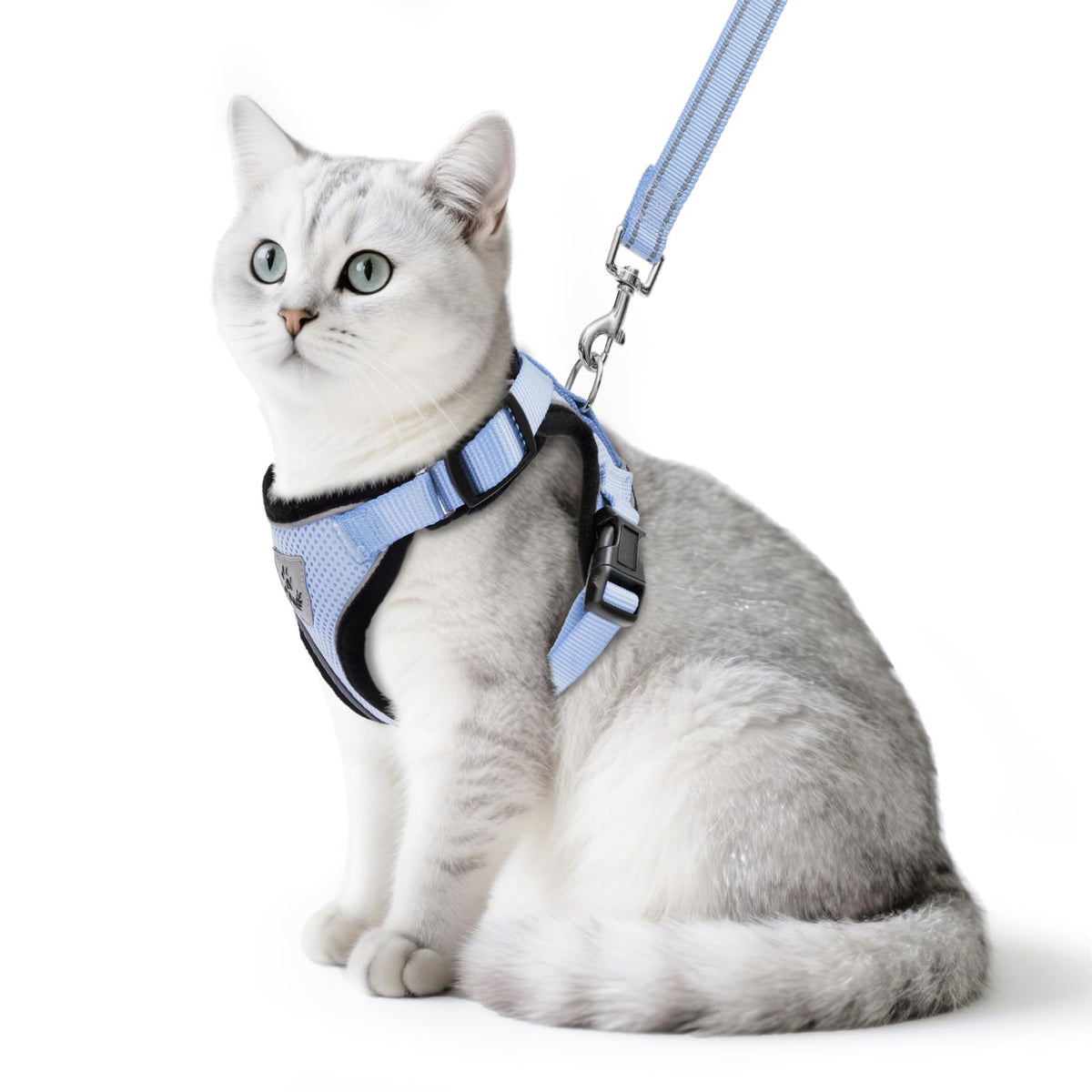 PUPTECK arnés gato malla transpirable para paseos cómodos y seguros