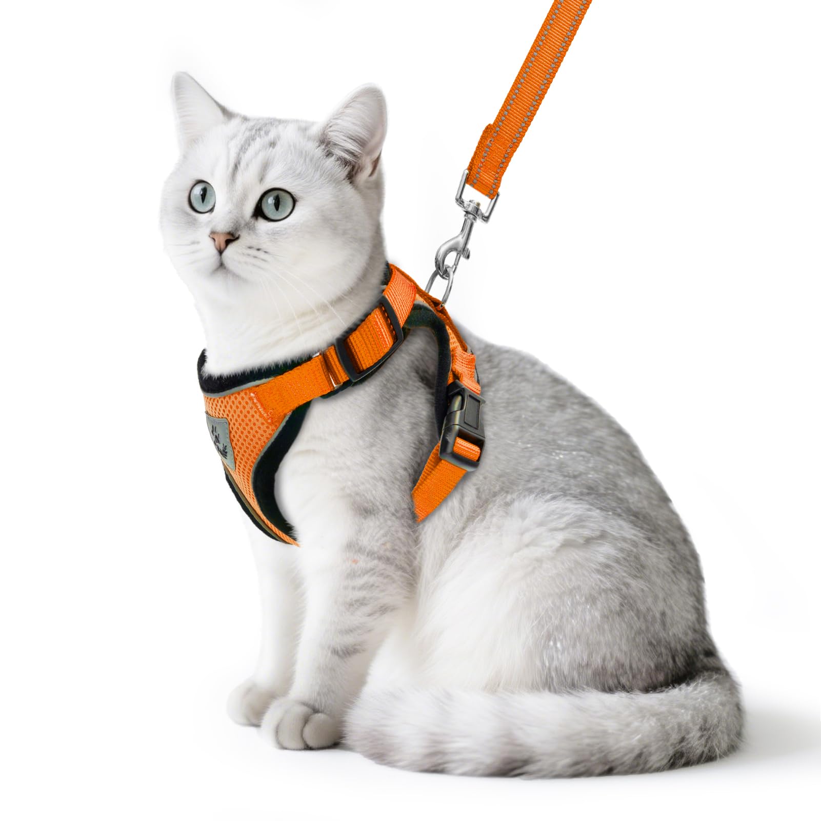 PUPTECK arnés para gato para paseo, cómodo y seguro para salir a la calle.