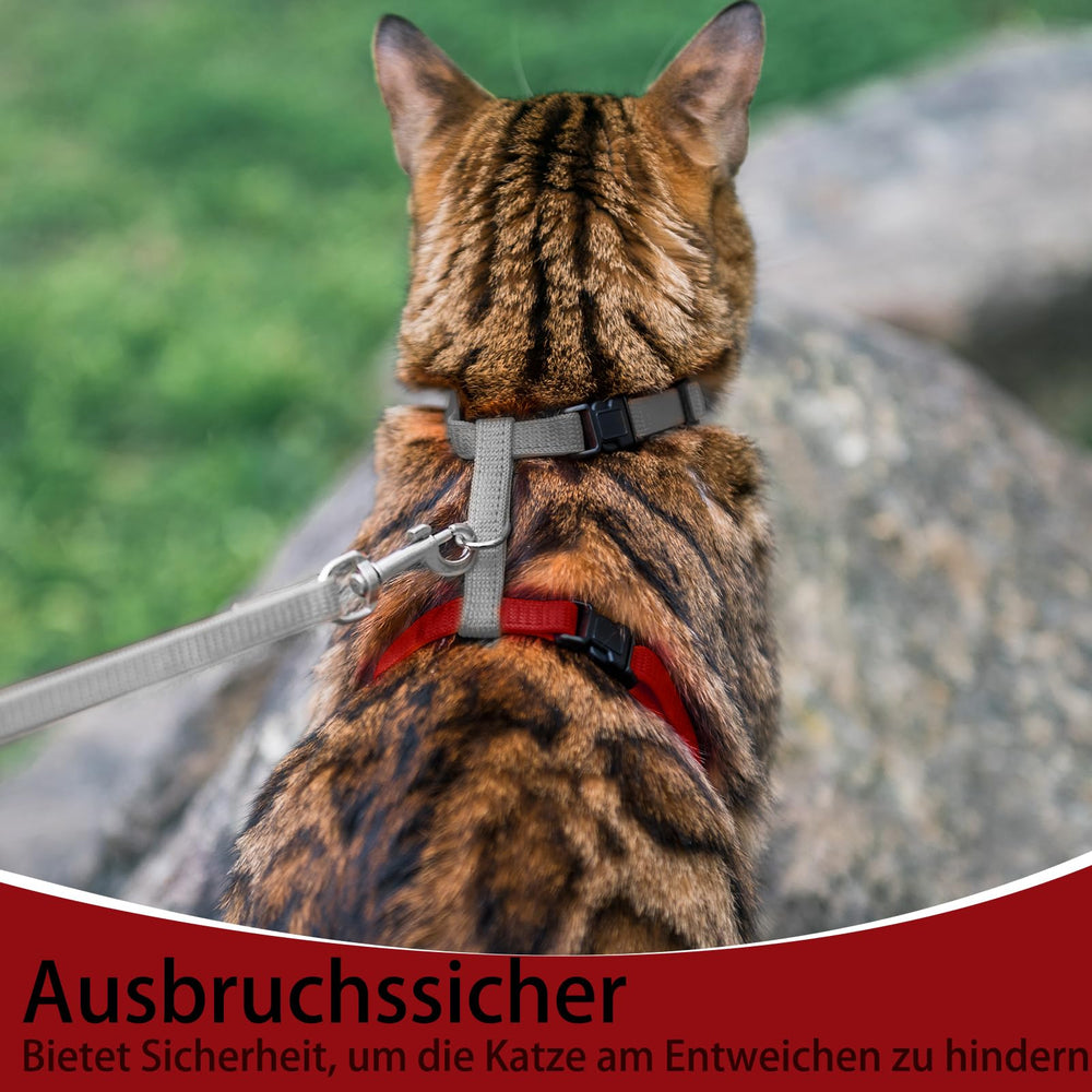 PUPTECK arnés para paseo diario de tu gato.