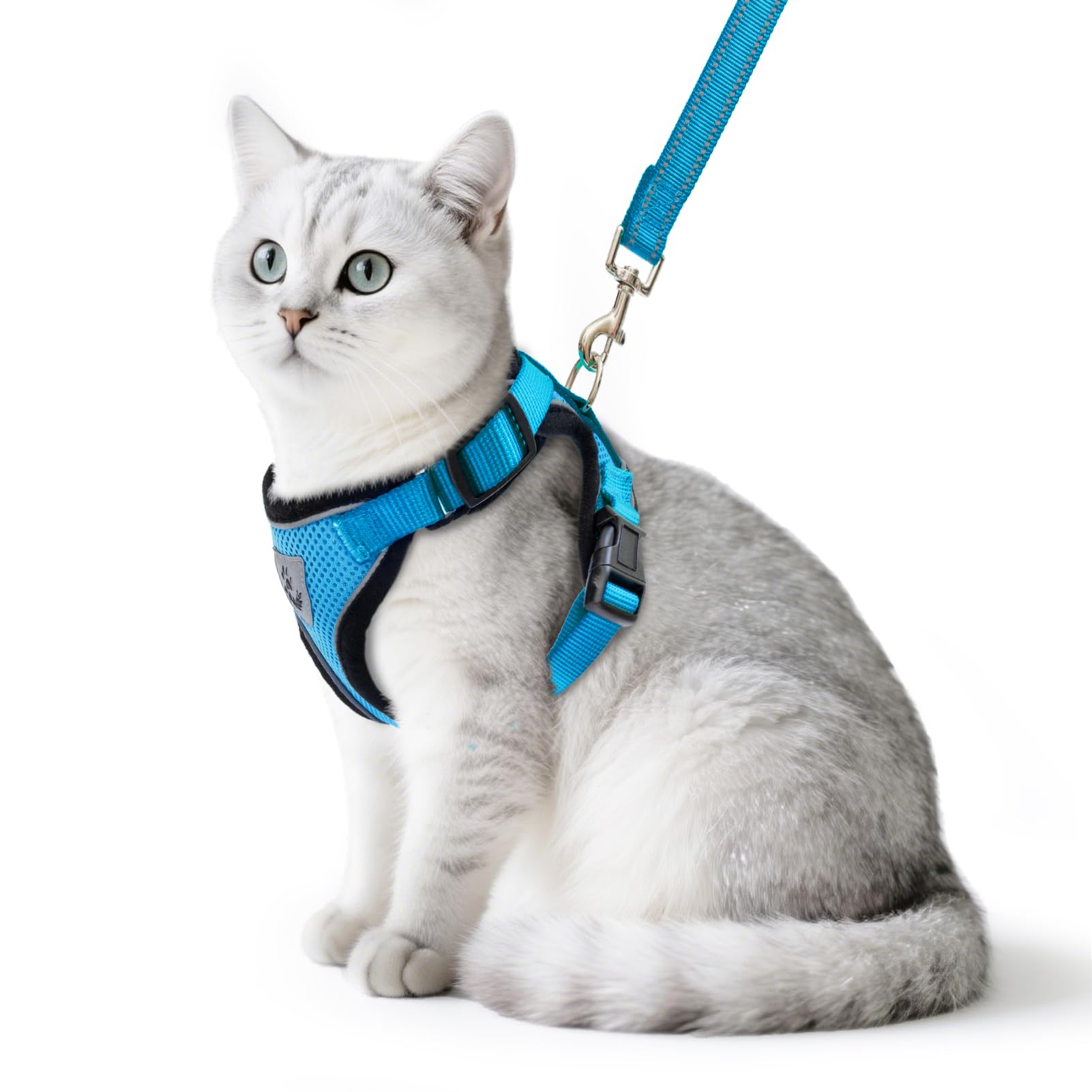 PUPTECK arnés gato paseo frontal, cómodo y seguro para salidas al exterior.