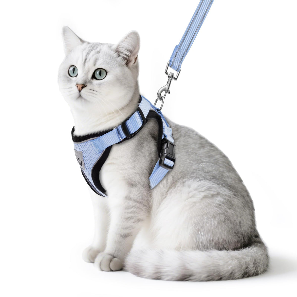 PUPTECK Arnés de gato reflectante para paseo seguro y visible por la noche.