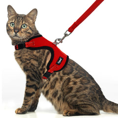Arnés PUPTECK para gato rojo, ajuste cómodo y seguro para paseos