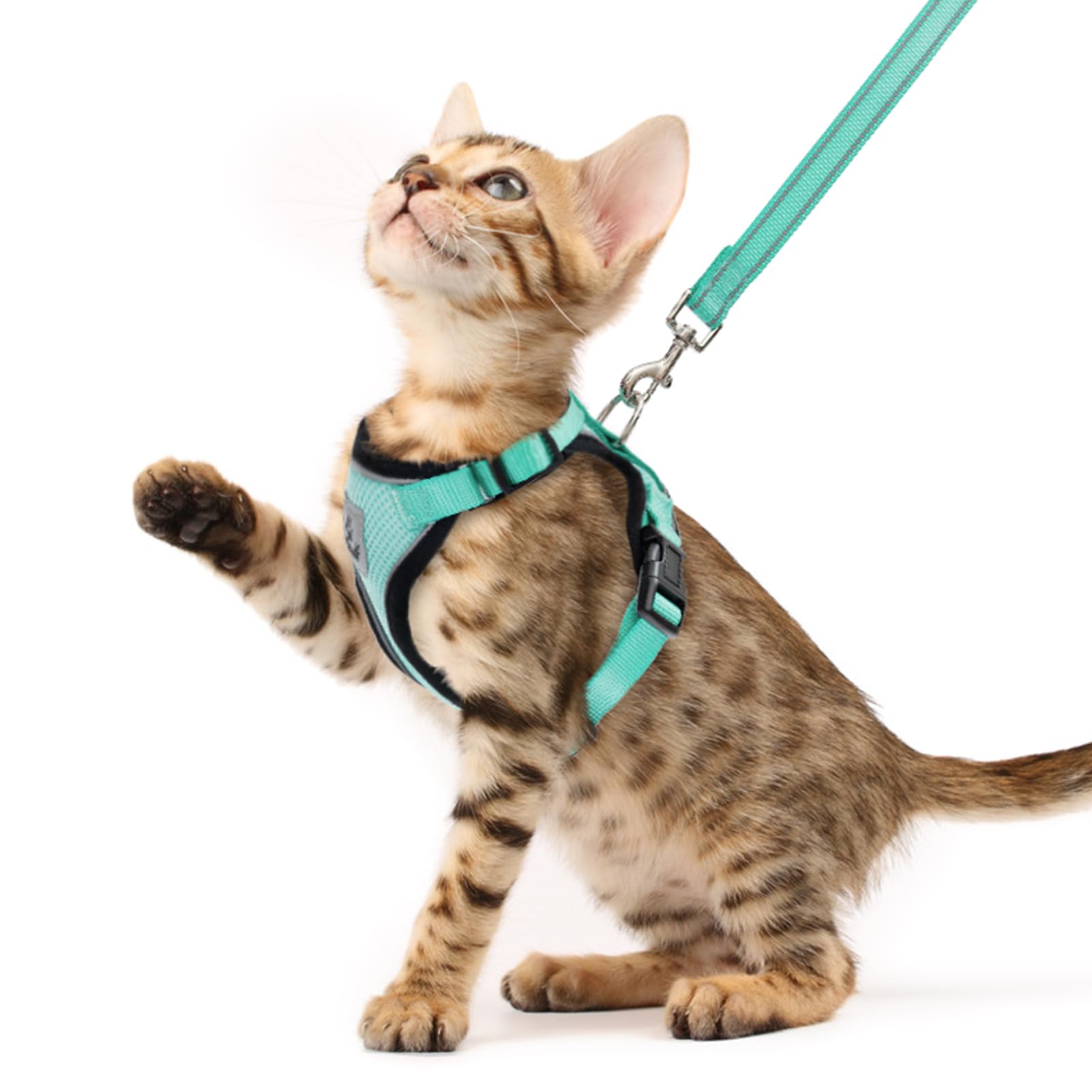 Arnés PUPTECK para gatos Aguamarina, vista frontal, ajuste cómodo y seguro.