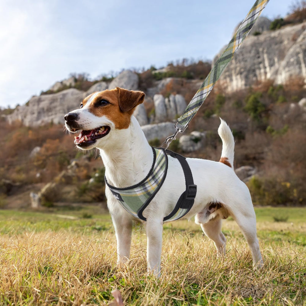 PUPTECK arnés guía de tallas, ayuda a escoger la medida correcta para tu mascota.