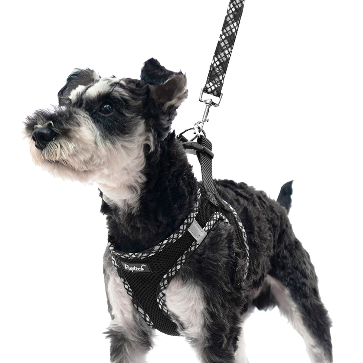 Arnés PUPTECK de malla ligera para perro pequeño, cómodo y transpirable.