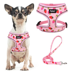 PUPTECK arnés malla suave con diseño de fresa para paseos diarios cómodos.