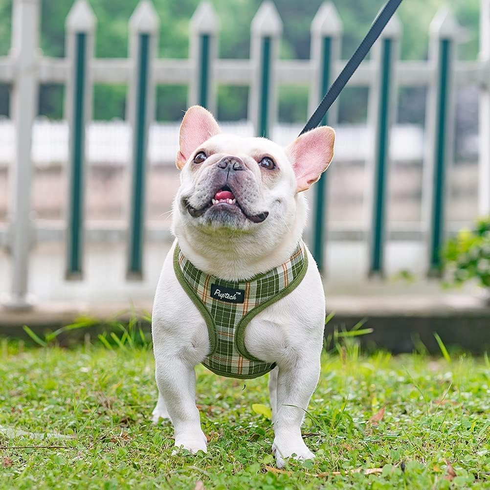 Arnés PUPTECK para todas las estaciones, cómodo en verano e invierno.