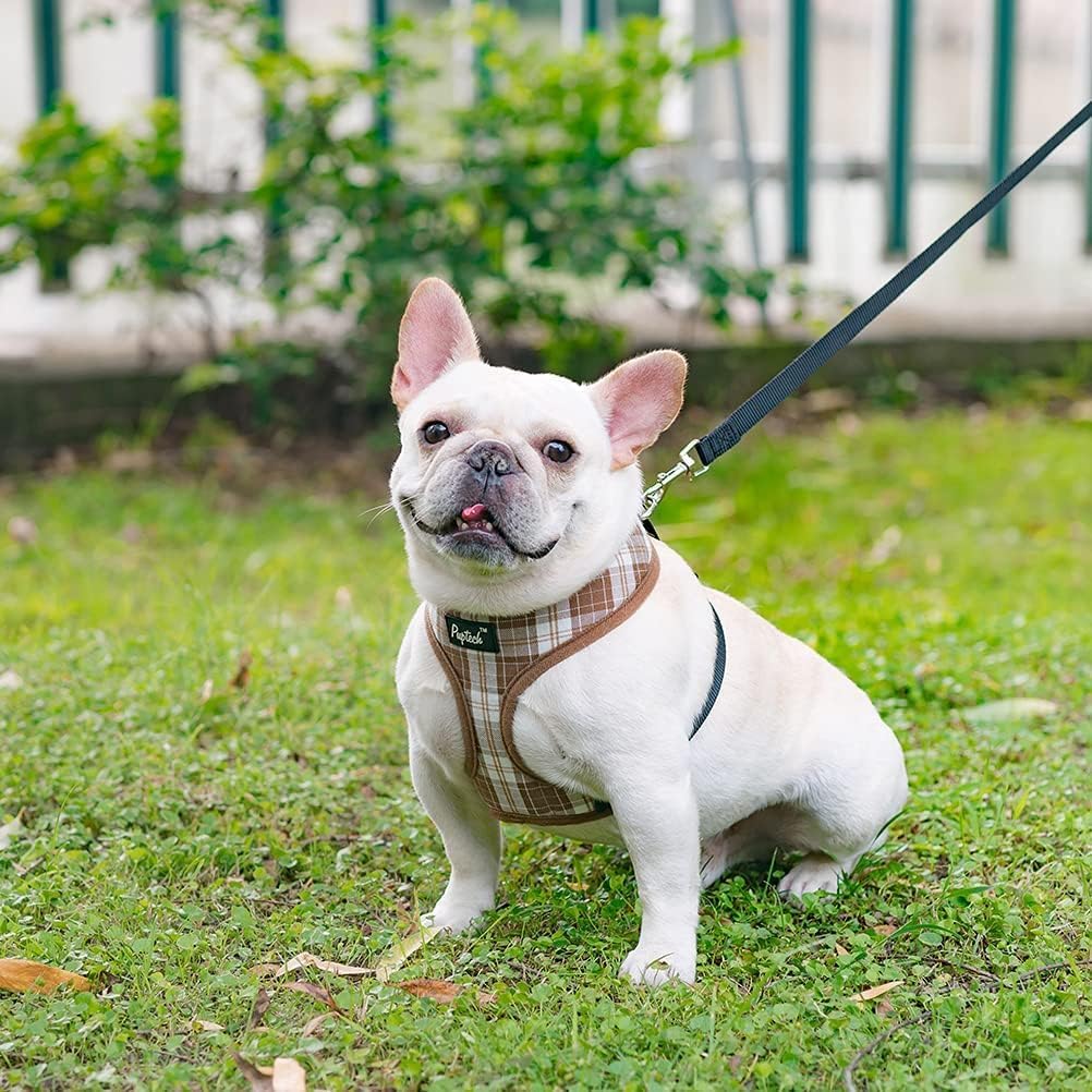 PUPTECK conjunto arnés y correa para perros y gatos pequeños.