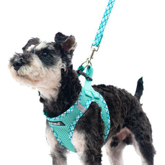 PUPTECK arnés de malla transpirable para paseos cómodos.