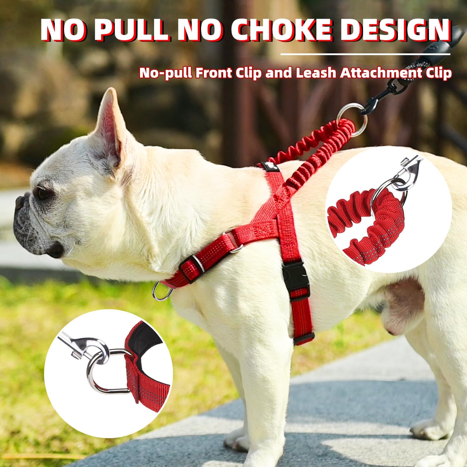 PUPTECK arnés con asa elástica para perro grande absorbe tirones durante paseos.