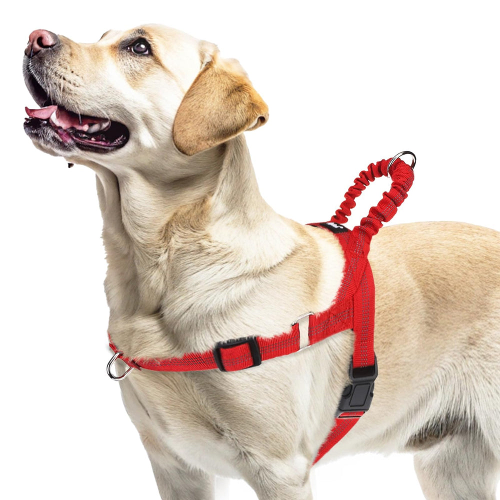 PUPTECK arnés sin tirones para perro grande con frontal anillas D para control cómodo.