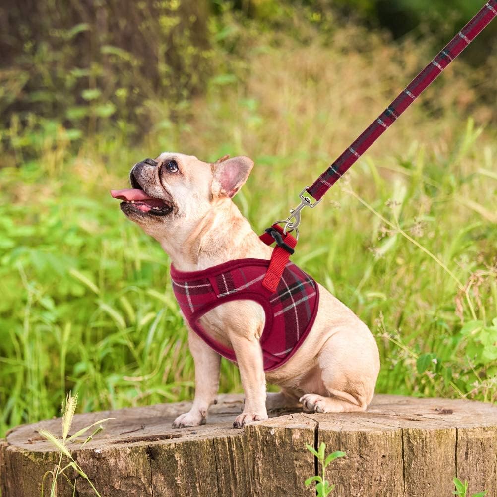 Arnés PUPTECK para mascotas en exteriores