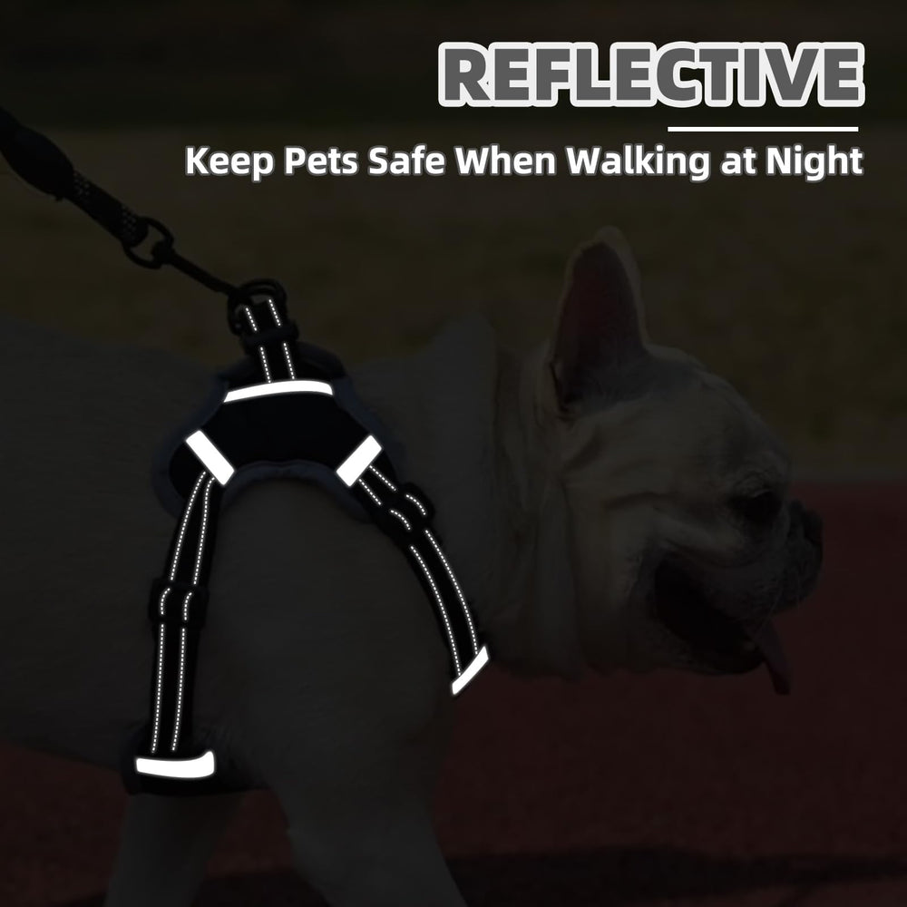 Arnés PUPTECK para perros medianos facilita paseos seguros y cómodos.