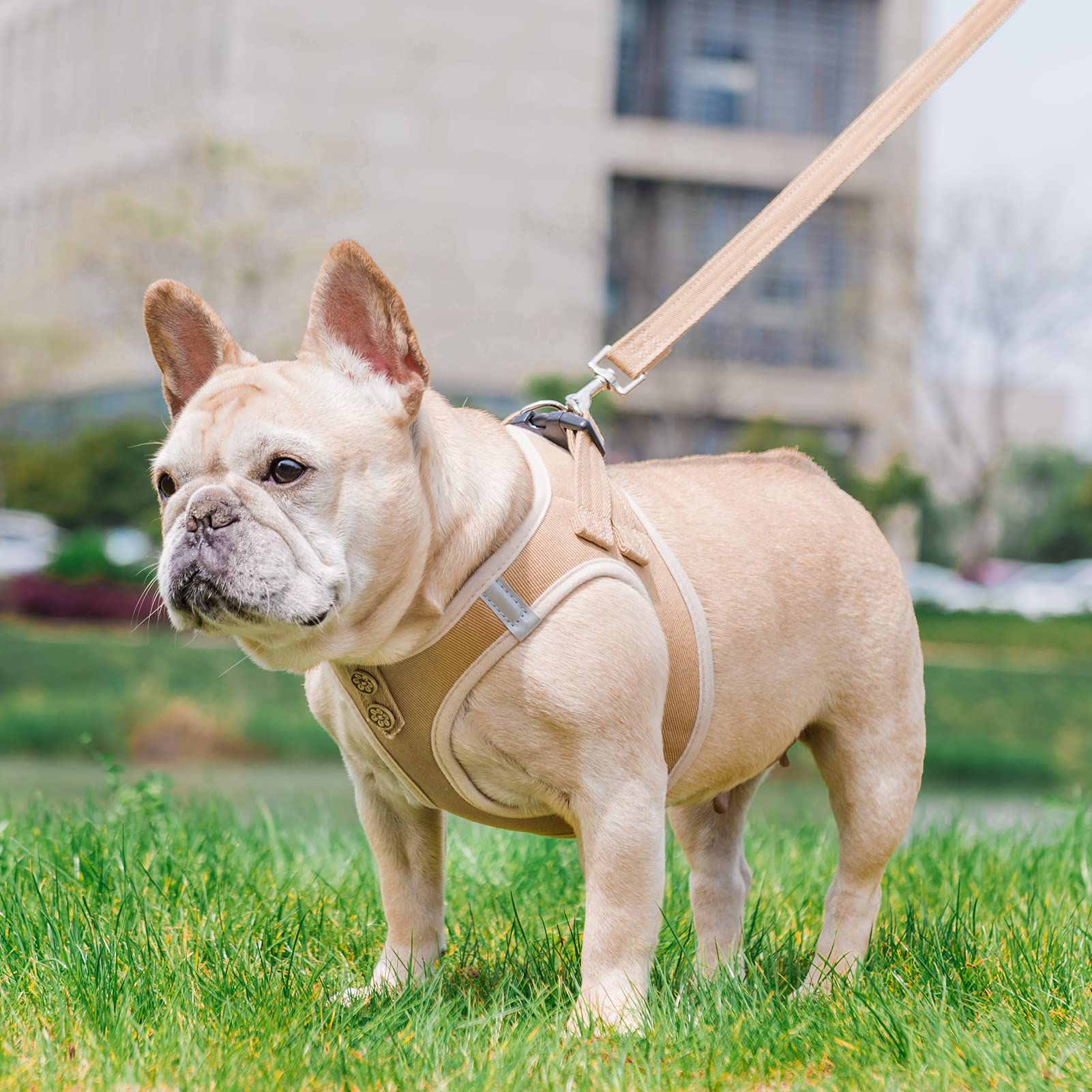 PUPTECK arnés para perro denim beige, vista lateral, diseño práctico