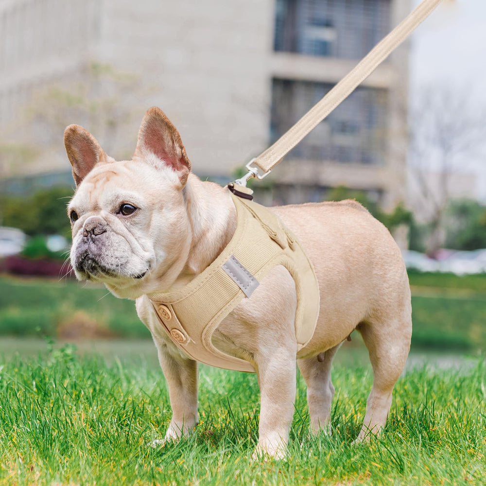 Arnés Pupteck en tono natural, estilo y comodidad para paseos diarios.