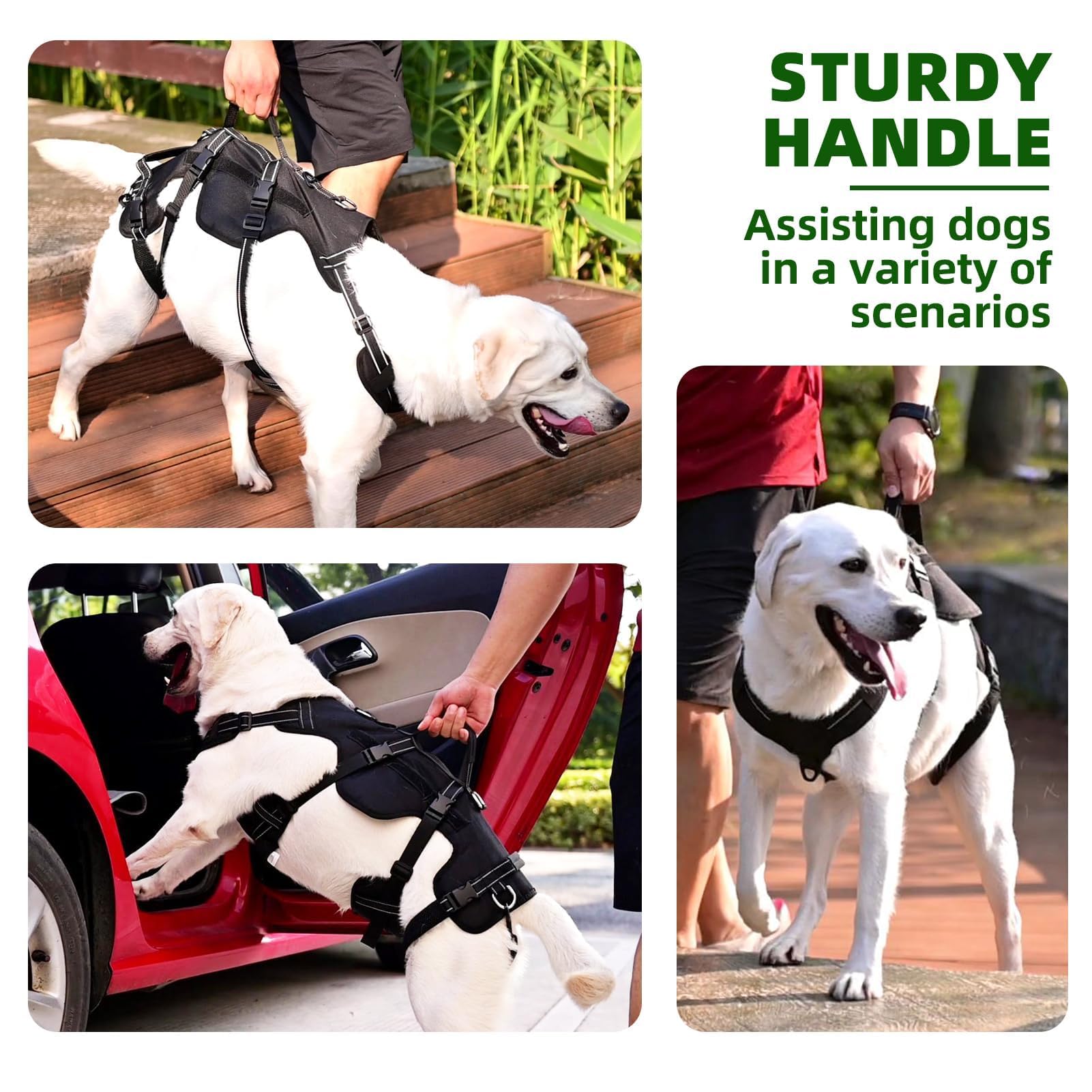 PUPTECK arnés con anilla delantera para entrenamiento y control suave.