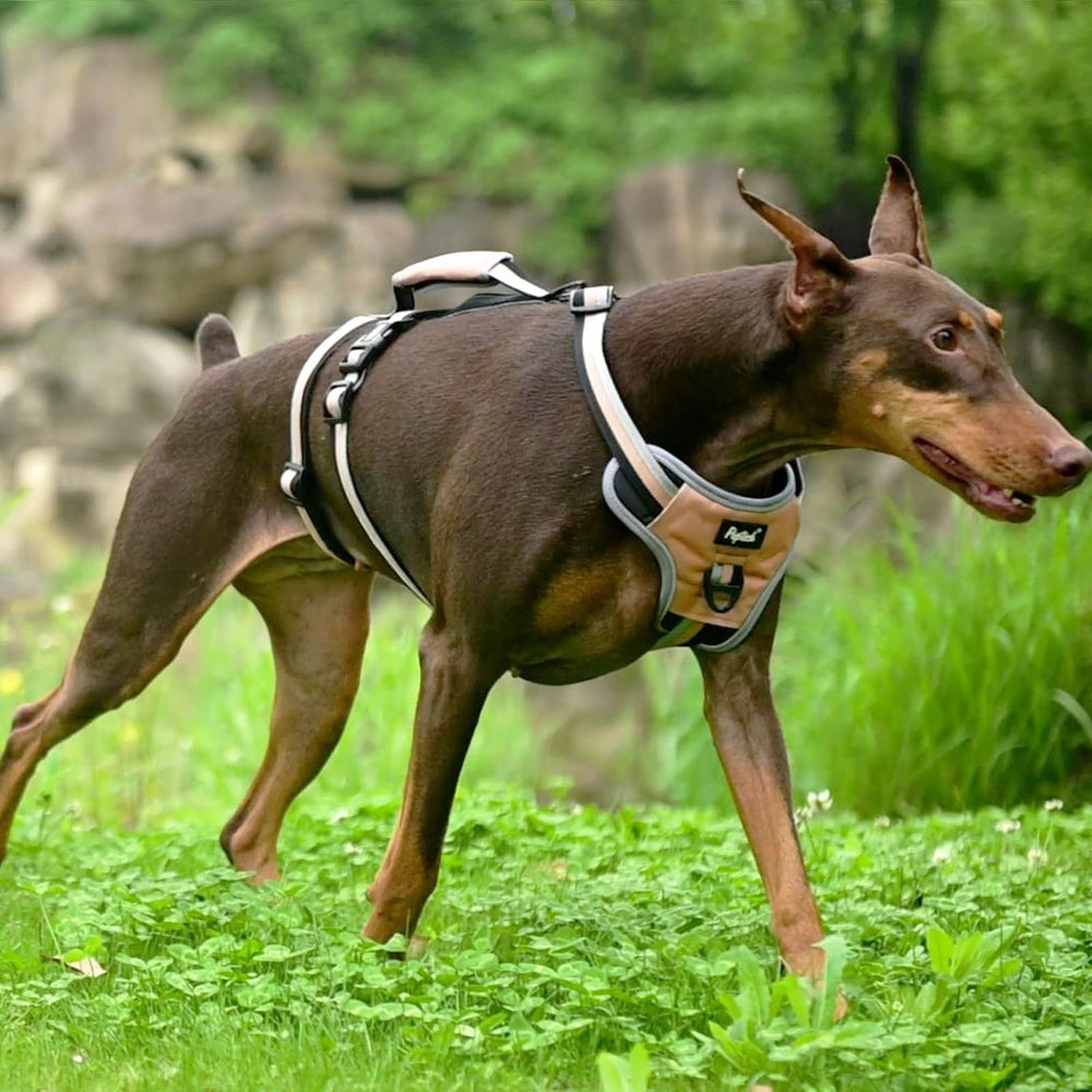 PUPTECK arnés con neopreno suave para reducir rozaduras.