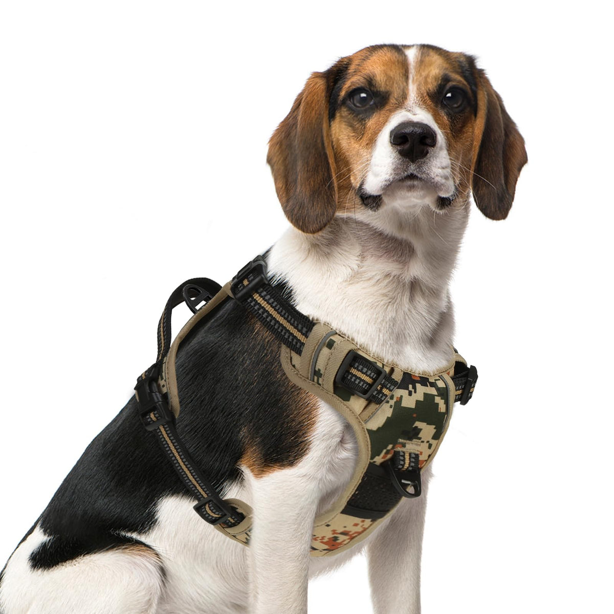 Arnés PUPTECK sin tirón frontal con D para paseos tranquilos.