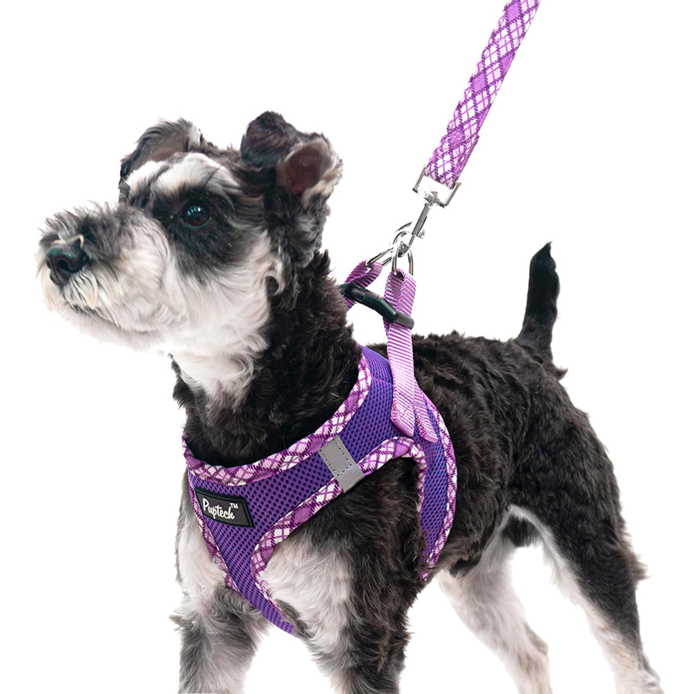 Arnés PUPTECK para perro pequeño con malla transpirable, cómodo en paseos diarios.