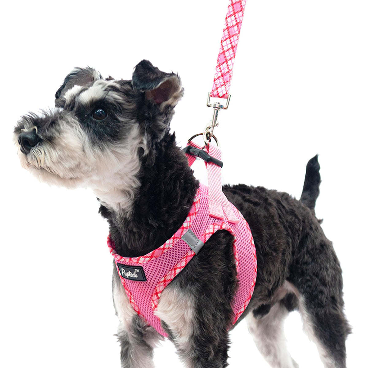 Arnés PUPTECK para perros pequeños con diseño de entrada, fácil de colocar.