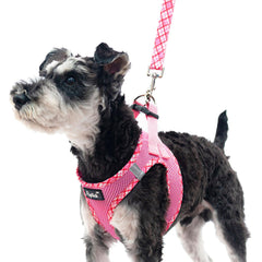 Arnés PUPTECK para perros pequeños con diseño de entrada, fácil de colocar.