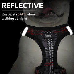 Arnés PUPTECK con tiras reflectantes para visibilidad nocturna.