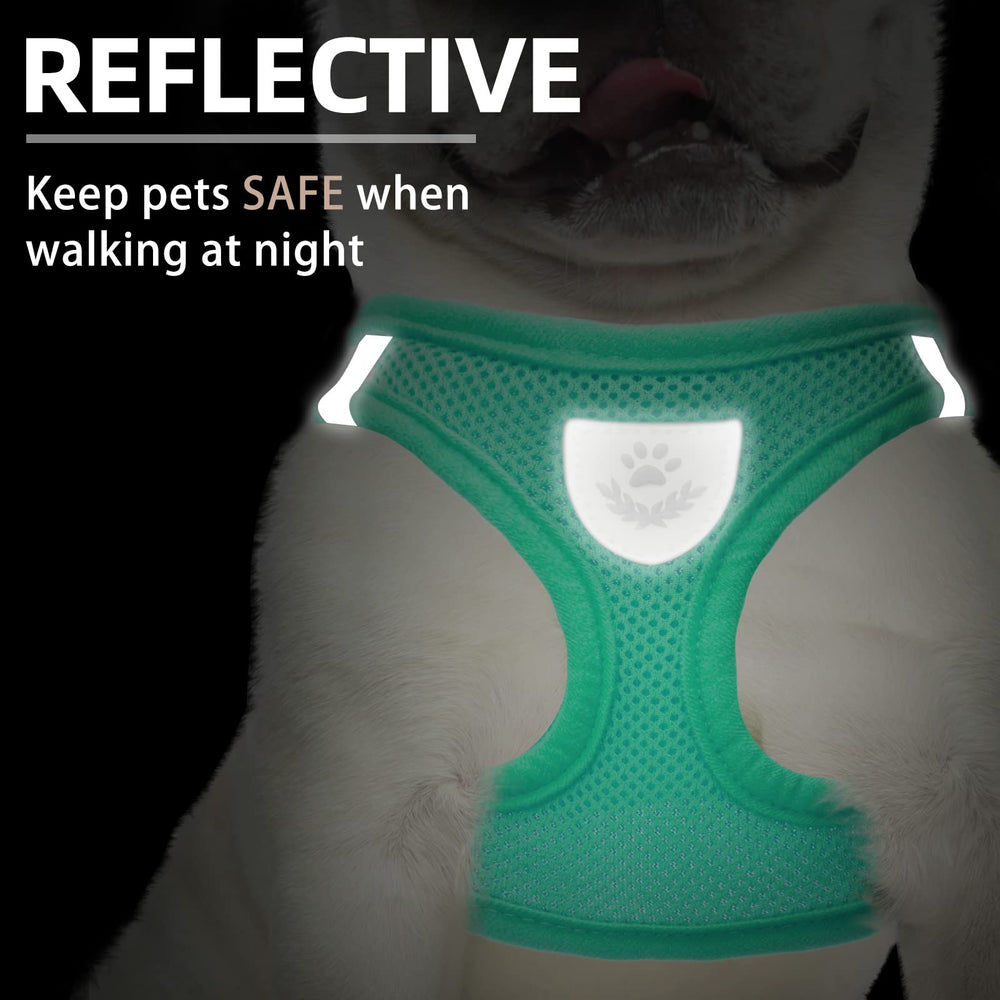 Arnés reflectivo de PUPTECK con doble anillo para seguridad nocturna